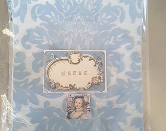Antique wallpaper kit, Marie Antoinette, french cottage, pink roses, flocked wallpaper, mixed media, journal, paper ephemera, french, SVF