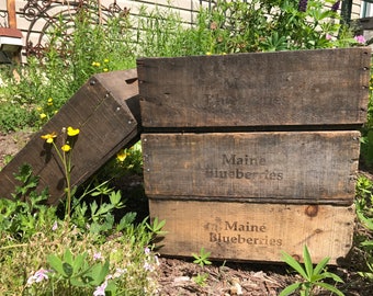 Antique Maine Blueberry Wooden Crate, Rustic Wooden Crate, Wooden Box, Vintage Fruit Harvest Box, Rustic Home Decor, Decorative Box, 1920s +