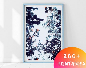 Flowers Print, Botanical Print, Printable Wall Art, Floral Print, Wall Art Prints, Botanical Poster, Flower Wall Art, Botanical Art