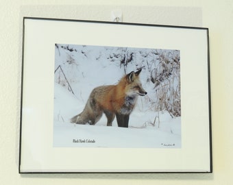 Foxtails 11x14 framed fox picture with a matted print 8x10