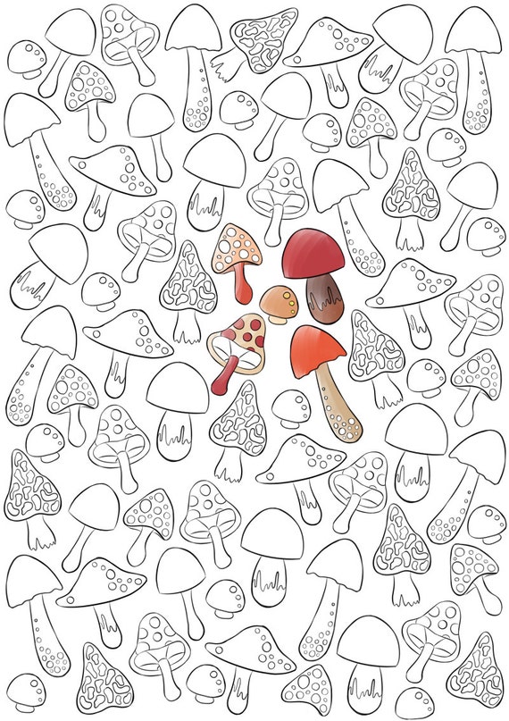 Download Adult coloring page autumn coloring page mushrooms coloring