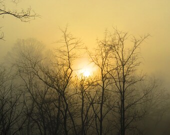 Dawn of a new day...
