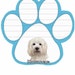 Havanese Notepad With Unique Die Cut Paw Shaped Sticky Notes 50 Sheets Measuring 5 by 4.7