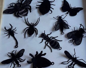 Special Offer: 11 lace insects and bugs
