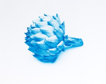 Blauwdruk oftewel cyanotype artisjok.