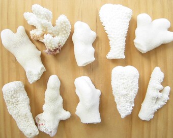 Assorted Real Coral Pieces-Coral Bulk-Beach Coral Supplies-Beach Wedding Decor-Natural Sea Life Decor-Nautical Home Decorations-Coral Pieces
