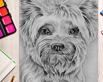 yorkie coloring book etsy