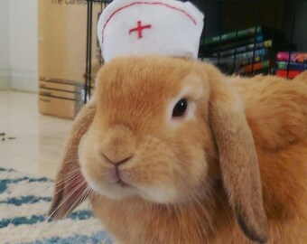 Therapy pet nurse bunny rabbit felt hat