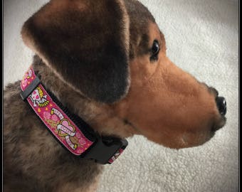 Skulls N' Roses Dog Collar