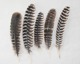 Smudge Feathers - Turkey Feathers - Cruelty Free!