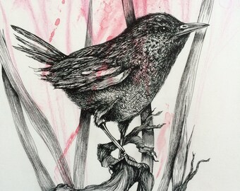 Birdy 2 · Ink · Artprint · Print · 31cm x 48cm · Wallart · Deco · Birdy · Bird · Kunst · Druck · Poster · Fine Art Print