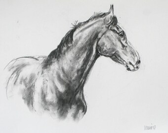 SALE Original horse art equine art energy and movement equine horse charcoal movement art drawing 'Proud I' by H Irvine