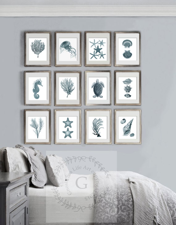 Summer Beach Home Decor Sea Coral Decor Beach Art Decor Set