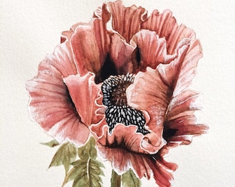 Pink Poppy - Original Watercolor
