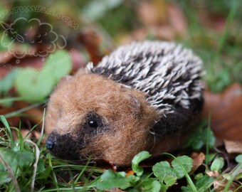 Needle felted hedgehog - Big