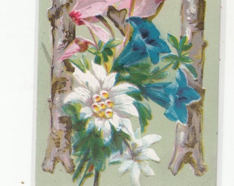 Antique Postcard C1910 Alphabet Letter "M" Unused,Pink Blue & White Flowers,Unused