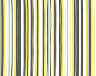 Citron Gray Play Stripe fabric CX3137 | Cotton Quilting fabric | Michael Miller