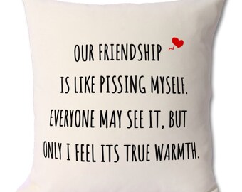 Our Friendship Is Like Pissing Myself cushion, friendship pillow,best friend gift,friendship,best friends,best friend pillow,friend pillow