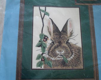 The CLADAMAR DESIGNS Needlepointing EmbroideryKit 80319 Cottontail Rabbit.