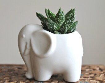 Ceramic elephant succulent planter-Mini elephant pot-Pottery Elephant Planter-Elephant cactus planter-white Elephant pot-elephant decor