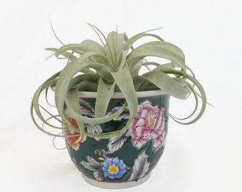 Vintage Floral New England Pottery Planter