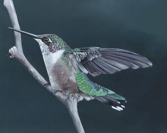 Hummingbird Painting N.02 Print of painting 5 by 7 print, bird art, wall art, home decor