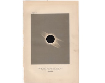 c. 1891 TOTAL SOLAR ECLIPSE print - original antique astronomy lithograph - the corona from a photograph - the sun - total eclipse
