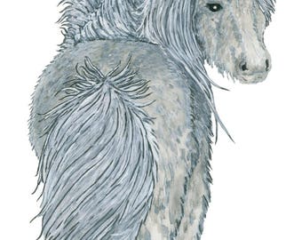 Ltd Edition - A5,A4 & A3 Giclee Print - Original Artwork - Pony