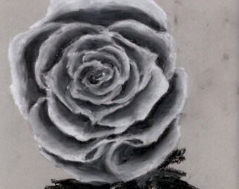 Original Artwork Pastel - Rose