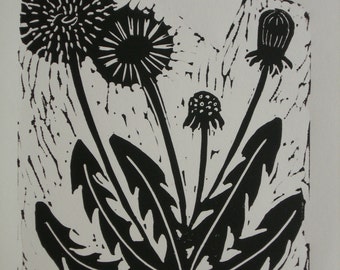 Limited Edition, Hand Printed Lino, of a Dandelion flower, 2014.