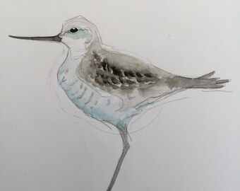 Greenshank Llanelli Wetlands