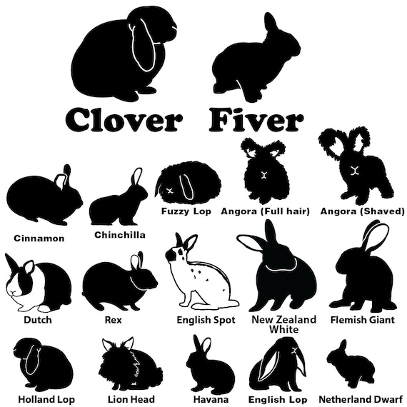 Free Free 91 Lionhead Rabbit Svg SVG PNG EPS DXF File