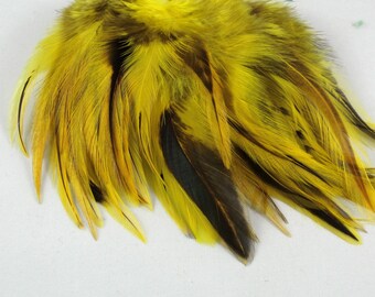 Yellow badger saddle craft feathers QTY 50 3 to 5 inches ASB-02