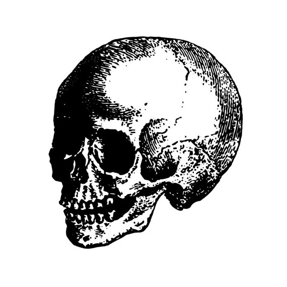 Vintage Child Skull Etching / Engraving Vectors Clip Art