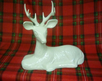 Beautiful 8 point white buck