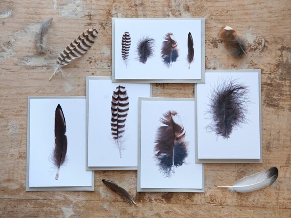 Pack of 10 Cards Feather Collection Blank Greeting Cards