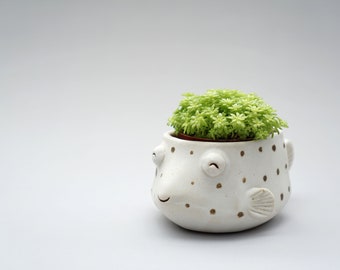 Puffer pot , Puffer plant pot , Handmade ceramics , pottery