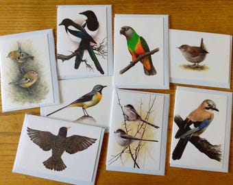 Greetings card set of 8 - Bird Lovers collection