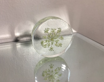 Queen Annes Lace Snowflake Flower Gem