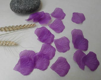 Petal Pink - Purple - 250 petals set