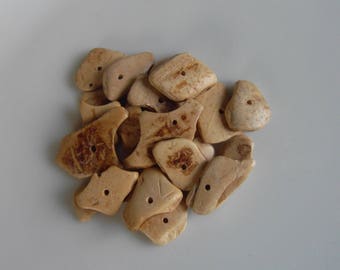 Set of 20 small polished coconut wood chips