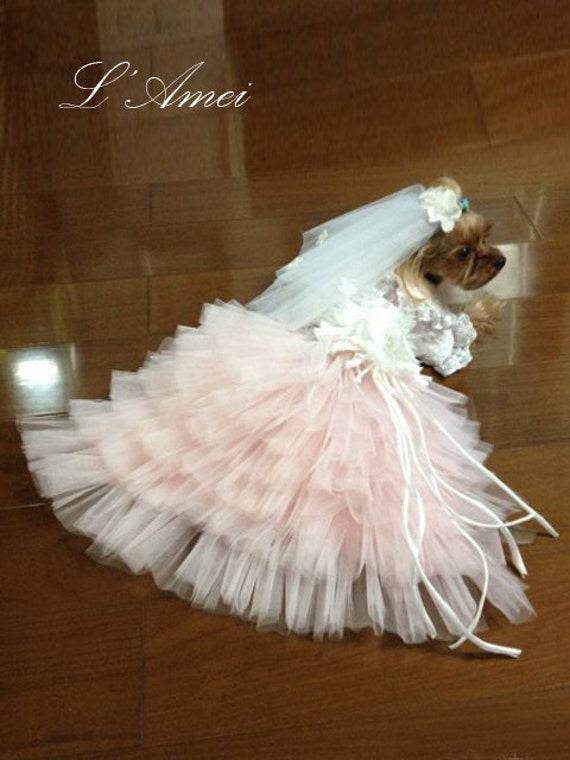 custom-made-dog-wedding-dress-made-of-soft-pink-tulle-and-hand