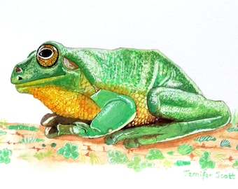 Greeting Card - Green Tree Frog - side view - sitting on lichen