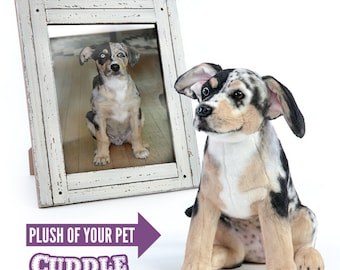 Custom Stuffed Animal of Your Pet