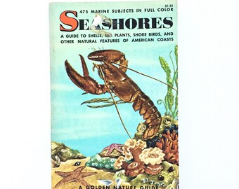 Vintage Golden Nature Guide- Seashores / Vintage Golden Guide / Sea Life Book / Biology Book / Vintage Field Guide / Homeschool Book