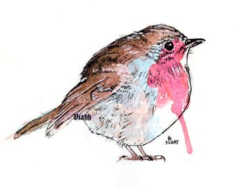 Original Robin ink painting