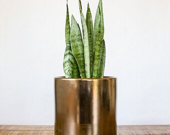 Large indoor planters | Etsy Large indoor planters | Etsy