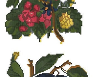 Fruits: plums and berries antique pattern for Berlinwork or cross stitch