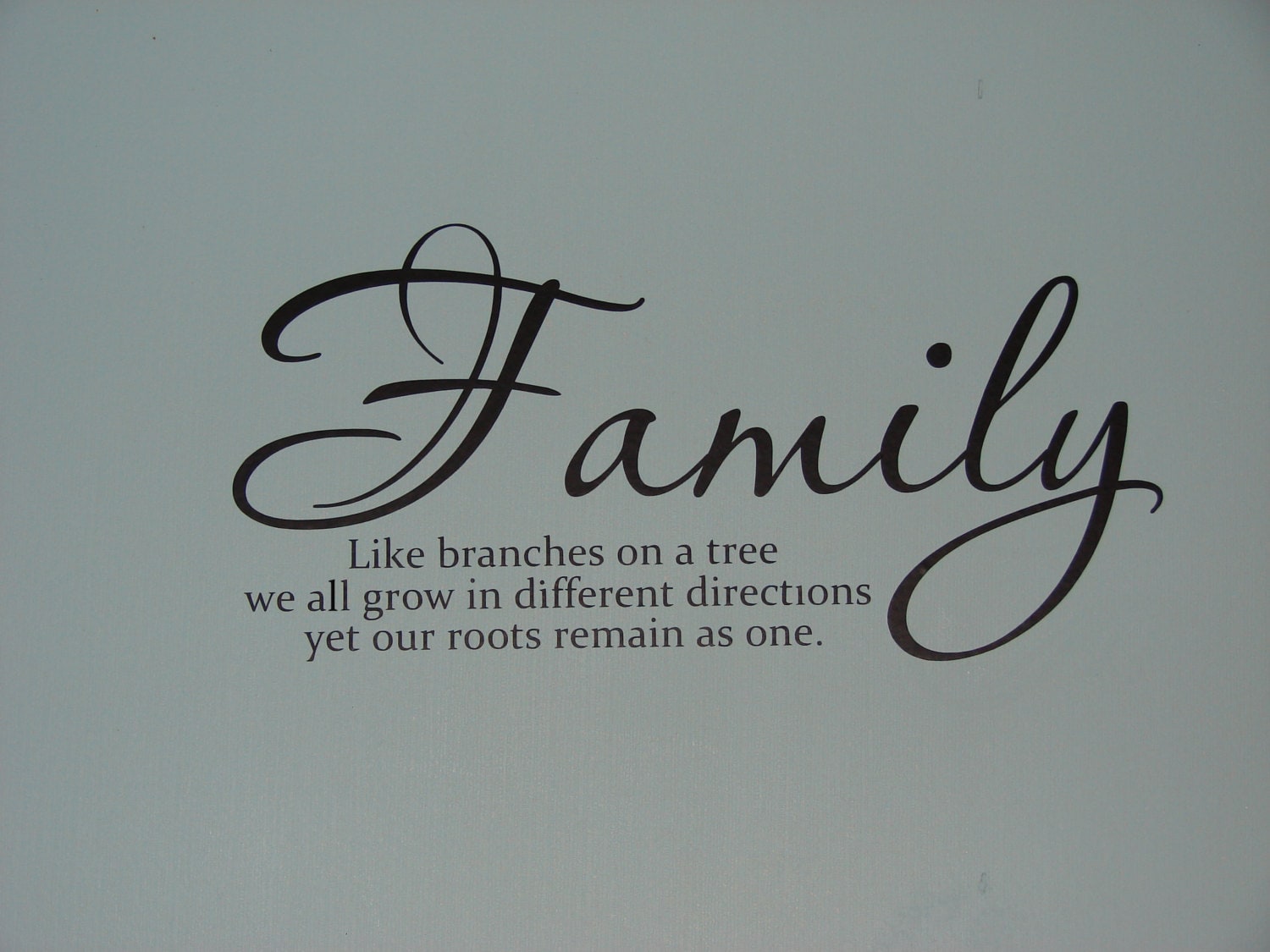 Family like branches on a tree matte finish vinyl wall quote