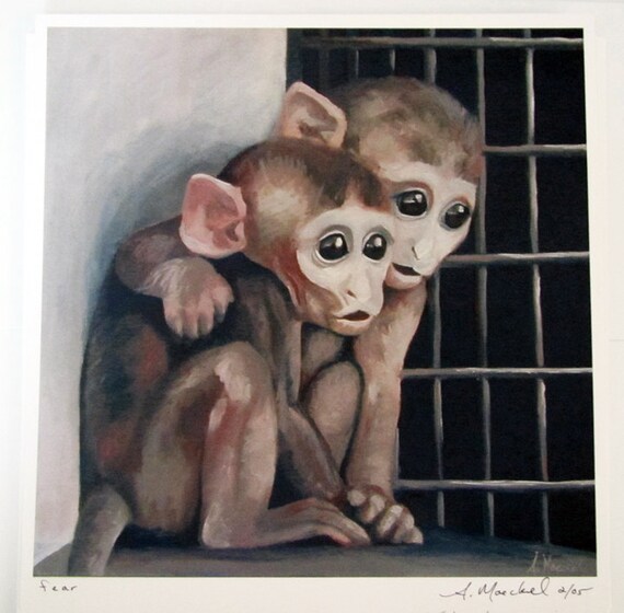 Animal emotions essay image